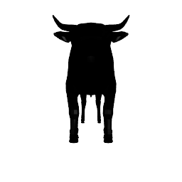 bull