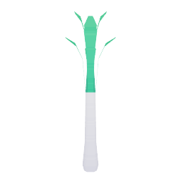 leek