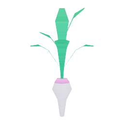 radish