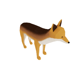 coyote